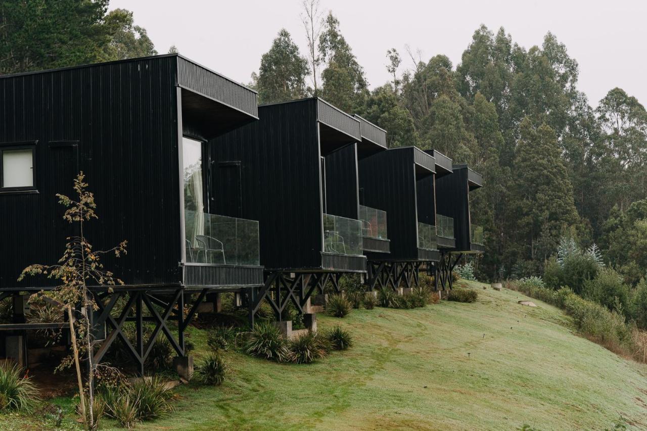 Pura Lodge Concepción Extérieur photo